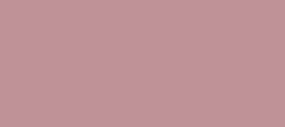 FI2C (NCS S 3020-R10B)