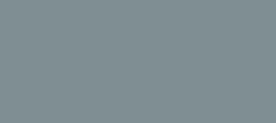 SE1B (NCS S 4010-B10G)